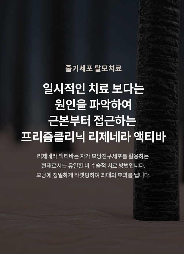 메타셀